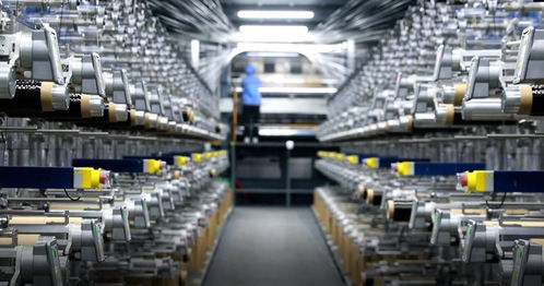 灼言丨落子科技创新 山东高质量发展中的网络科技新棋局